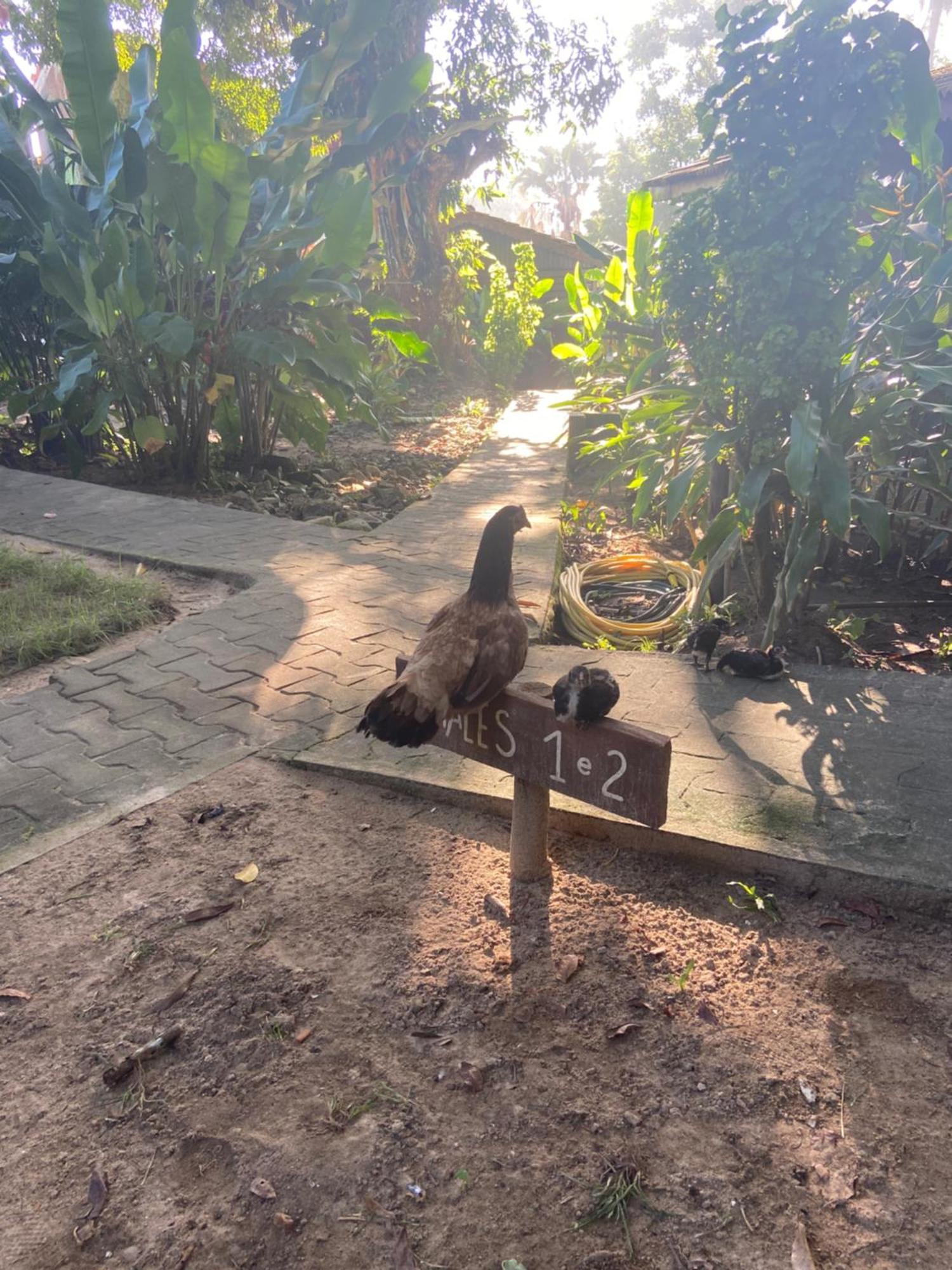 Pousada Coco Dende Velha Boipeba Buitenkant foto