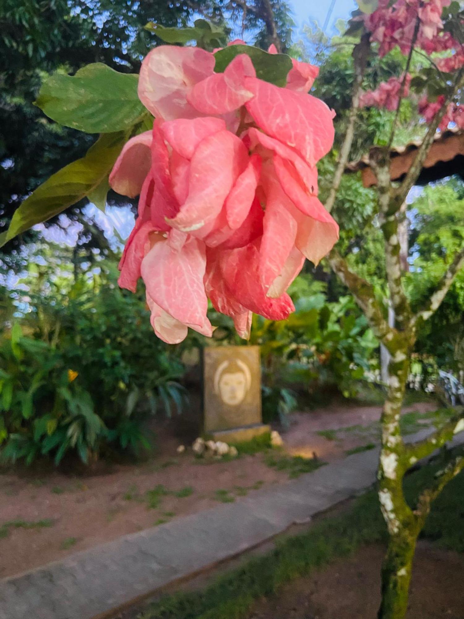 Pousada Coco Dende Velha Boipeba Buitenkant foto